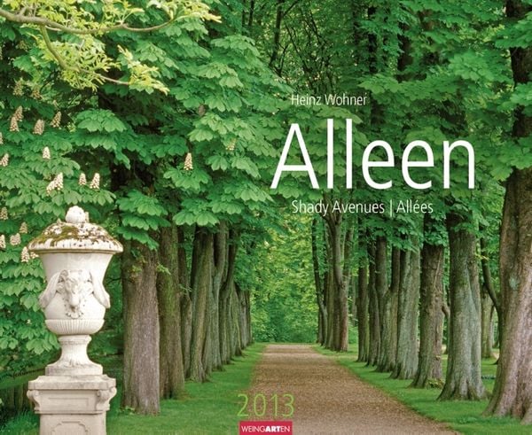 Produktbild: Alleen 2013
