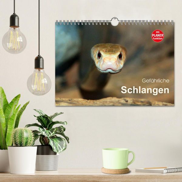 Produktbild: Gef&auml;hrliche Schlangen (Wandkalender 2026 DIN A4 quer), CALVENDO Monatskalender