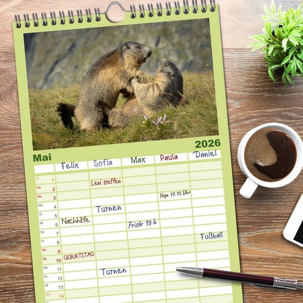 Produktbild: Familienplaner 2026 - Alpenmurmeltiere - Stars vor der Kamera mit 5 Spalten (Wandkalender, 21 x 45 cm) CALVENDO
