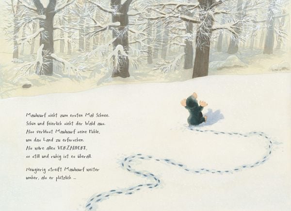 Produktbild: Was glitzert da im Schnee?
