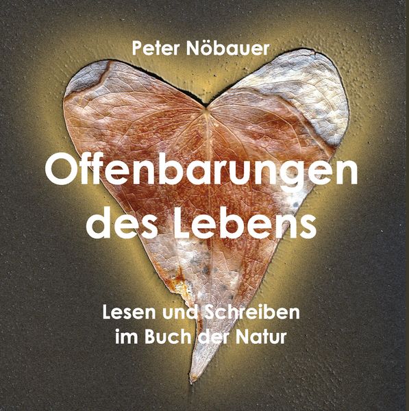 Produktbild: Offenbarungen des Lebens