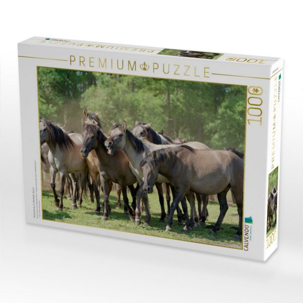 Produktbild: CALVENDO Puzzle Stutenherde im Merfelder Bruch | 1000 Teile Lege-Gr&ouml;&szlig;e 64x48cm Foto-Puzzle f&uuml;r gl&uuml;ckliche Stunden