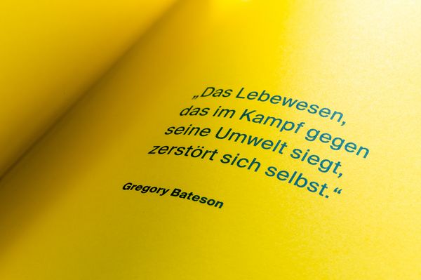 Produktbild: Als ich mich auf den Weg machte, die Erde zu retten
