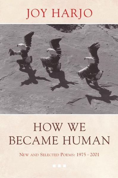 Produktbild: How We Became Human