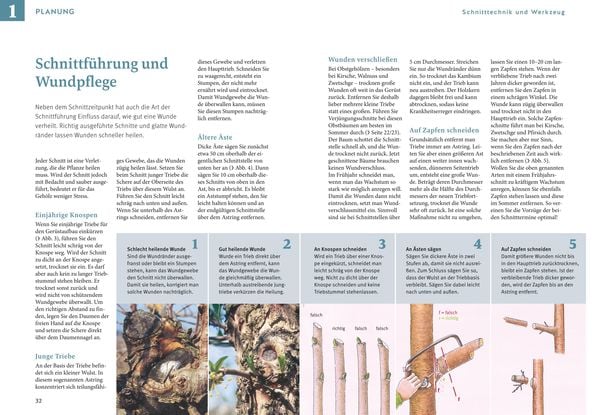 Produktbild: Obstgeh&ouml;lze schneiden