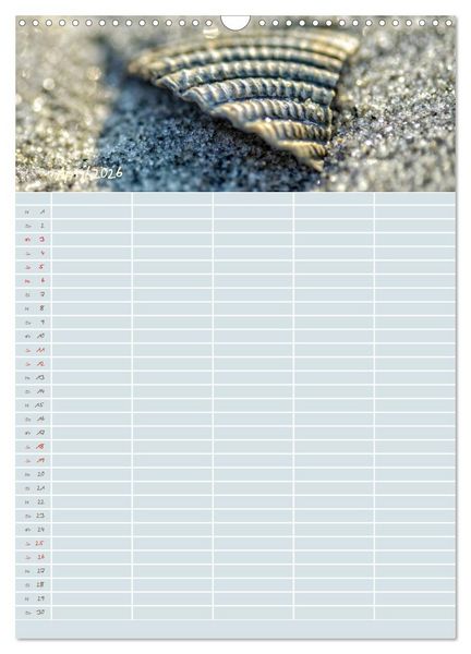 Produktbild: Kleine Sand-Sch&ouml;nheiten / Familienplaner (Wandkalender 2026 DIN A3 hoch), CALVENDO Monatskalender