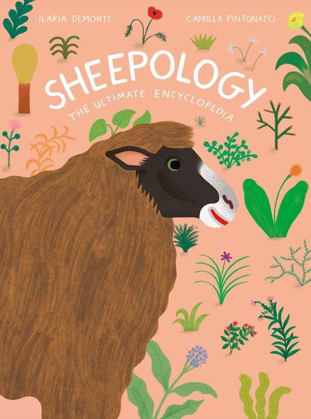 Produktbild: Sheepology