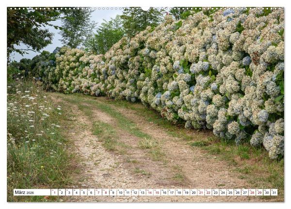 Produktbild: Unterwegs - Camino Primitivo. Zu Fu&szlig; auf der &auml;ltesten Route des Jakobsweges (Wandkalender 2026 DIN A2 quer), CALVENDO Monatskalender