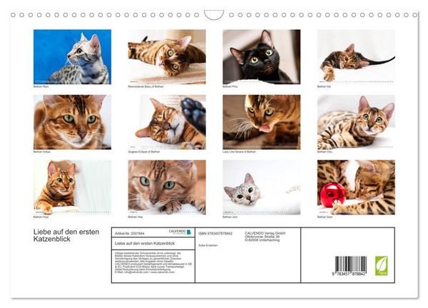 Produktbild: Liebe auf den ersten Katzenblick (Wandkalender 2026 DIN A3 quer), CALVENDO Monatskalender