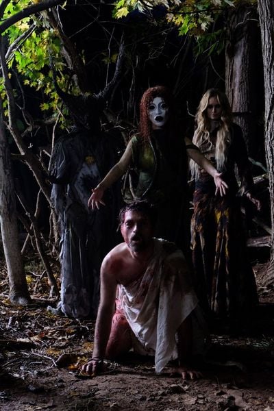 Produktbild: Im Kopf des Killers - A Wounded Fawn