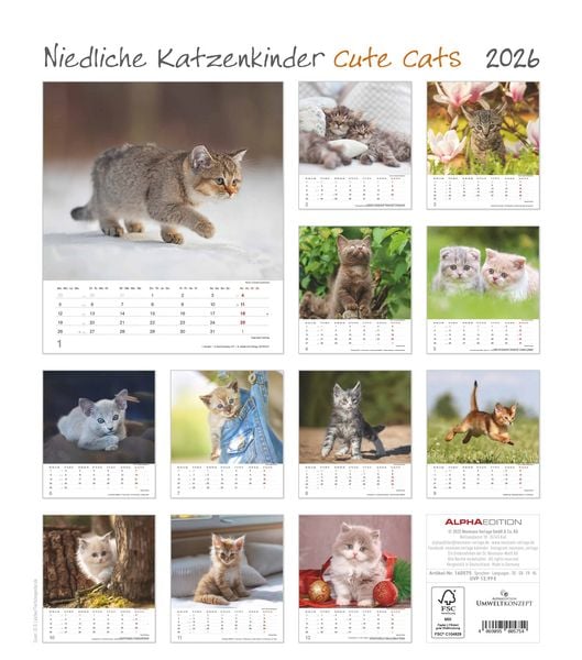 Produktbild: Niedliche Katzenkinder 2026 - Wand-Kalender - Tier-Kalender - 30x34