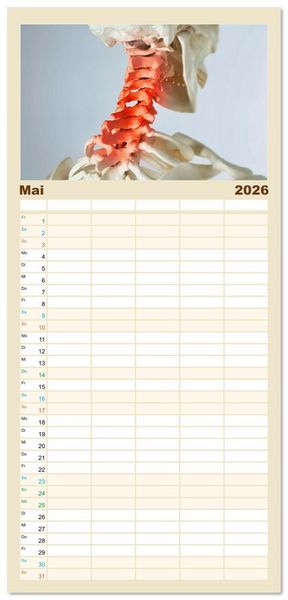 Produktbild: Familienplaner 2026 - Chiropraktik - mit den H&auml;nden behandeln mit 5 Spalten (Wandkalender, 21 x 45 cm) CALVENDO