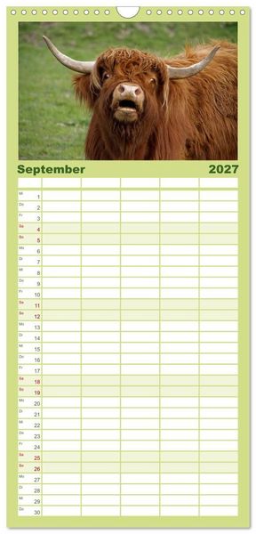 Produktbild: Familienplaner 2027 - Muuuhhh! mit 5 Spalten (Wandkalender, 21 x 45 cm) CALVENDO