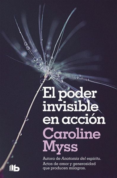 Produktbild: El poder invisible en acci&oacute;n