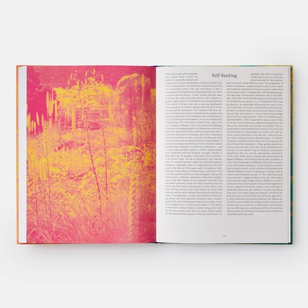 Produktbild: Wild: The Naturalistic Garden