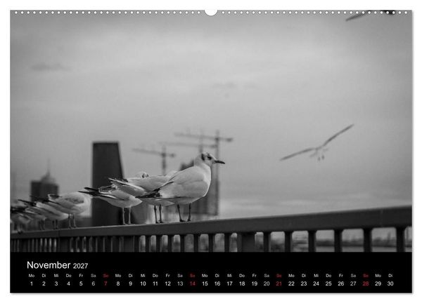 Produktbild: Mein Hamburg (Wandkalender 2027 DIN A2 quer), CALVENDO Monatskalender