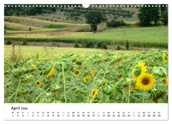 Produktbild: Camino di Assisi - Franziskusweg (Wandkalender 2026 DIN A3 quer), CALVENDO Monatskalender