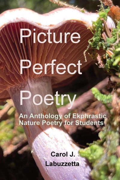 Produktbild: Picture Perfect Poetry
