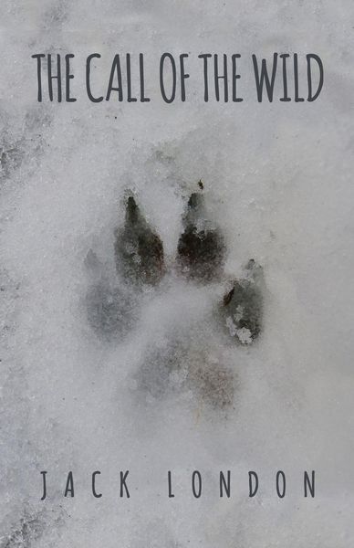 Produktbild: The Call of the Wild
