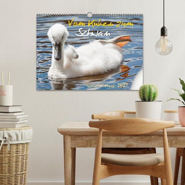 Produktbild: Vom K&uuml;ken zum Schwan (Wandkalender 2027 DIN A3 quer), CALVENDO Monatskalender