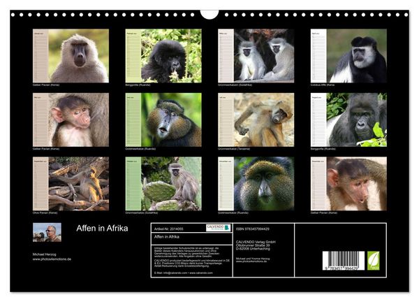 Produktbild: Affen in Afrika (Wandkalender 2026 DIN A3 quer), CALVENDO Monatskalender