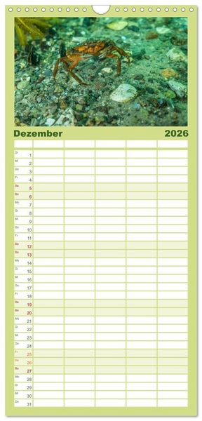 Produktbild: Familienplaner 2026 - Unter Wasser rund um Fehmarn mit 5 Spalten (Wandkalender, 21 x 45 cm) CALVENDO