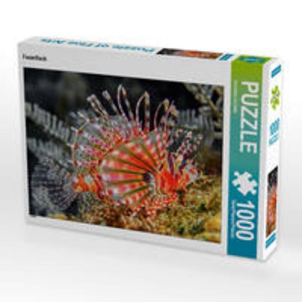 CALVENDO Puzzle Feuerfisch | 1000 Teile Lege-Größe 64x48cm Foto-Puzzle für glückliche Stunden