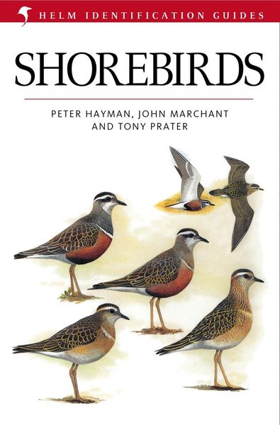 Produktbild: Shorebirds