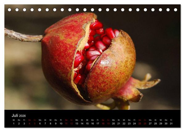 Produktbild: Erfrischend fruchtig (Tischkalender 2026 DIN A5 quer), CALVENDO Monatskalender