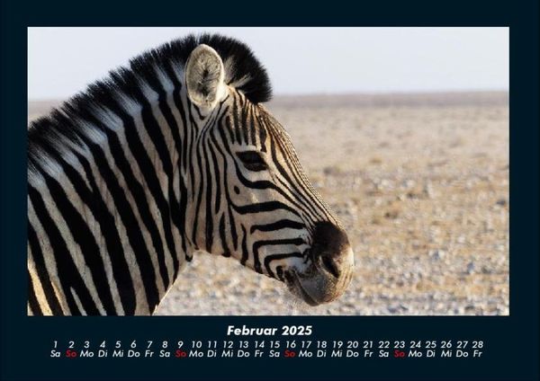 Produktbild: Zebrazauber 2025 Fotokalender DIN A4