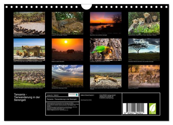 Produktbild: Tansania - Tierwanderung in der Serengeti (Wandkalender 2026 DIN A4 quer), CALVENDO Monatskalender