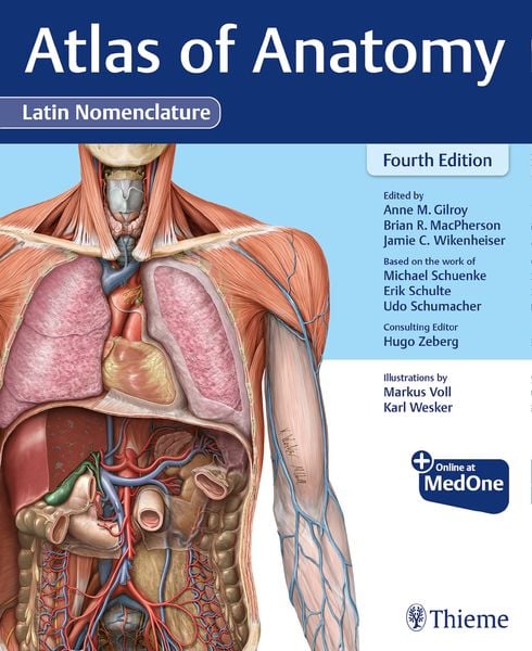 Atlas of Anatomy, Latin Nomenclature, Gebundene Ausgabe von Anne M. Gilroy,Brian R. MacPherson,Jamie Wikenheiser,Michael Schuenke,Erik Schulte, Thieme