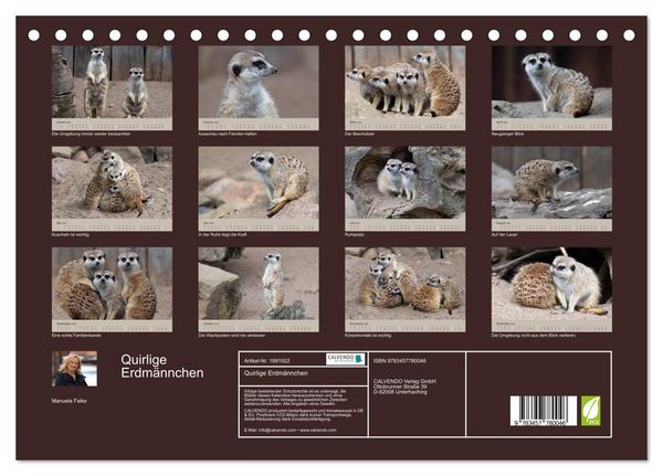 Produktbild: Quirlige Erdm&auml;nnchen (Tischkalender 2026 DIN A5 quer), CALVENDO Monatskalender