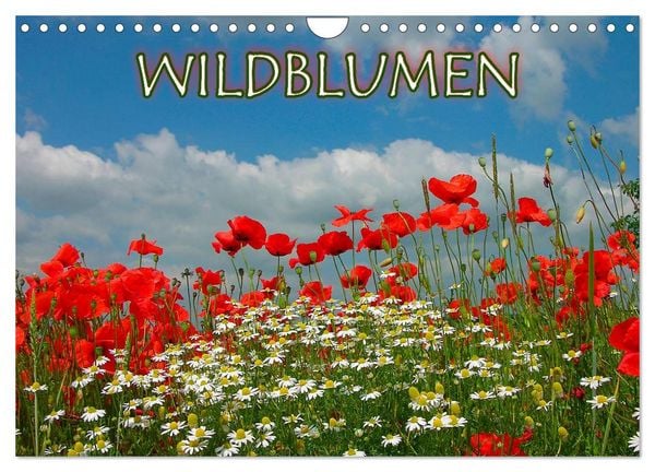 Produktbild: Wildblumen 2026 (Wandkalender 2026 DIN A4 quer), CALVENDO Monatskalender