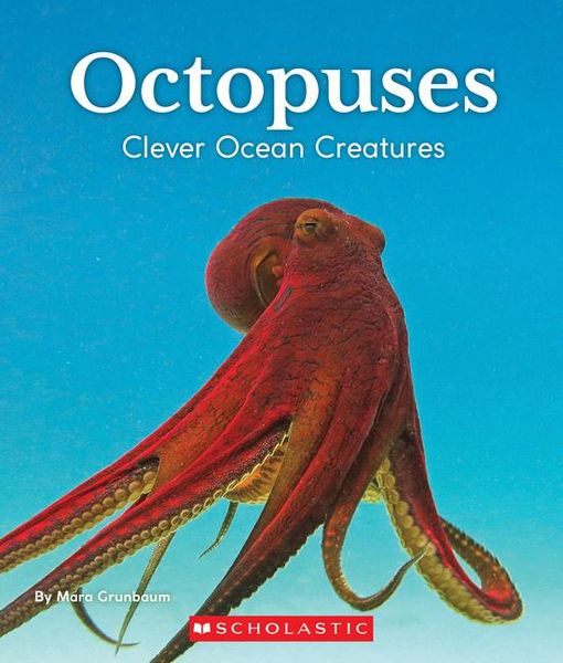 Produktbild: Octopuses: Clever Ocean Creatures (Nature's Children)