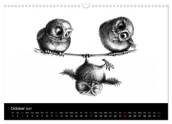Produktbild: owls & friends 2027 (Wall Calendar 2027 DIN A3 landscape), CALVENDO 12 Month Wall Calendar