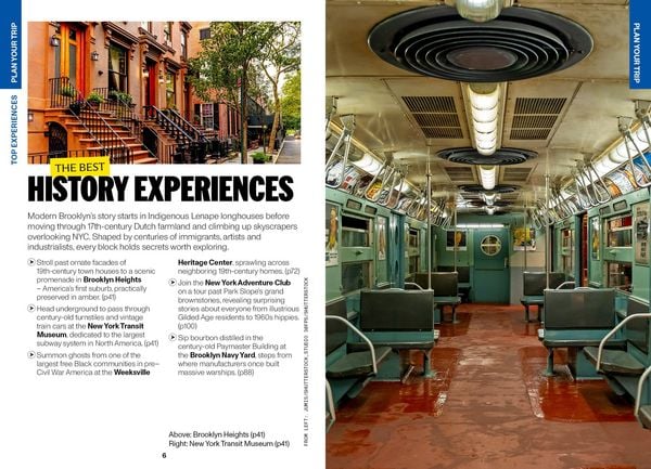Produktbild: Lonely Planet Pocket Brooklyn