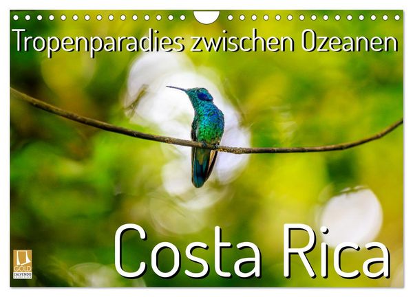 Produktbild: Tropenparadies zwischen Ozeanen Costa Rica (Wandkalender 2026 DIN A4 quer), CALVENDO Monatskalender