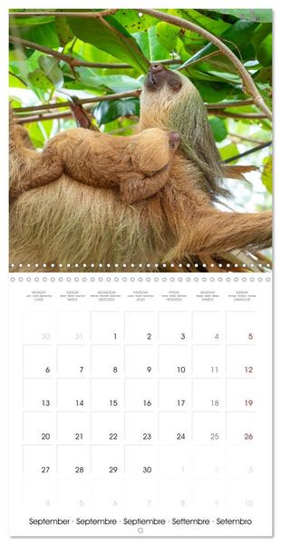Produktbild: Costa Rica wild and peaceful (Wall Calendar 2027 12 &times; 12 Inch) CALVENDO 12 Month Wall Calendar