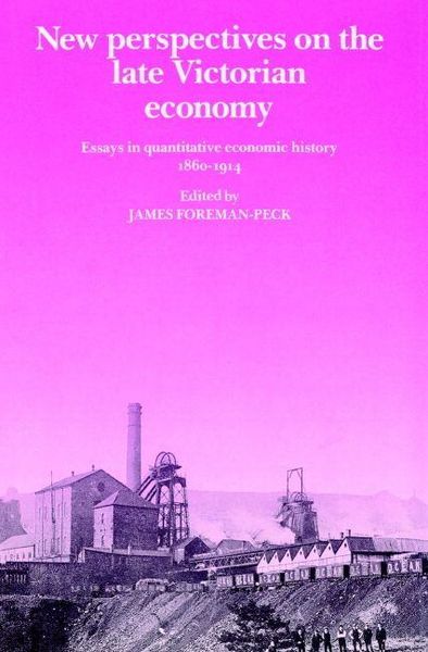 Produktbild: New Perspectives on the Late Victorian Economy