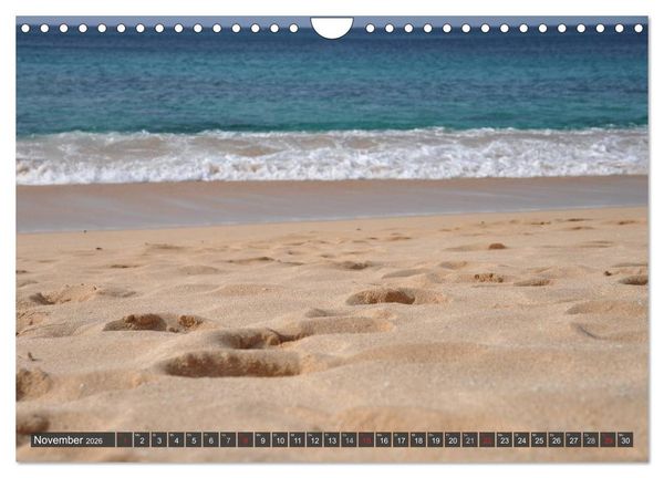 Produktbild: Ich will Meer ! (Wandkalender 2026 DIN A4 quer), CALVENDO Monatskalender
