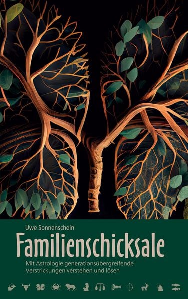 Produktbild: Familienschicksale