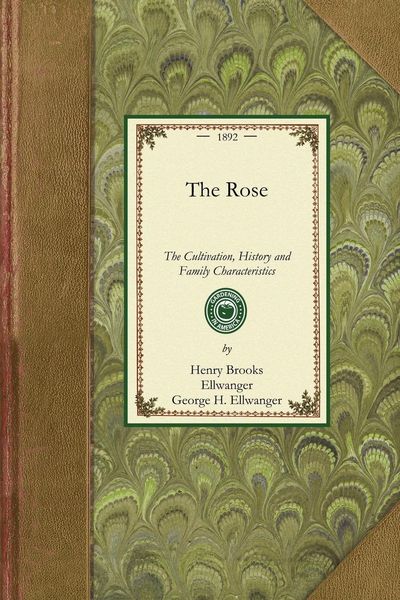 Produktbild: The Rose