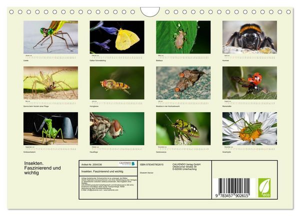Produktbild: Insekten. Faszinierend und wichtig (Wandkalender 2026 DIN A4 quer), CALVENDO Monatskalender