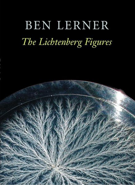 Produktbild: The Lichtenberg Figures