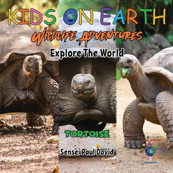 Produktbild: KIDS ON EARTH Wildlife Adventures - Explore The World Tortoise - Ecuador