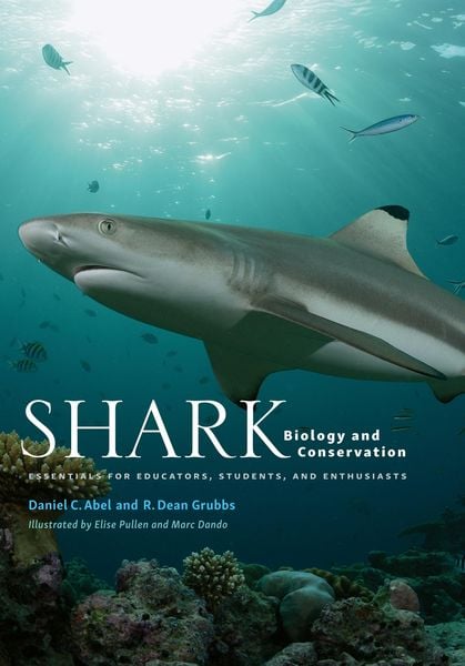 Produktbild: Shark Biology and Conservation