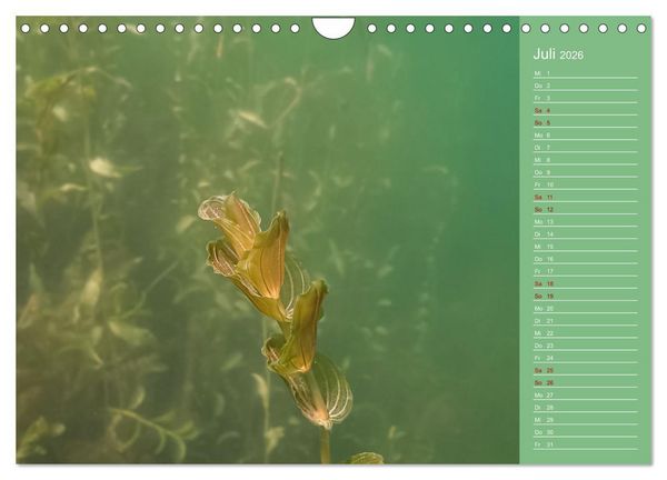 Produktbild: Baggersee - die gr&uuml;ne Welt (Wandkalender 2026 DIN A4 quer), CALVENDO Monatskalender