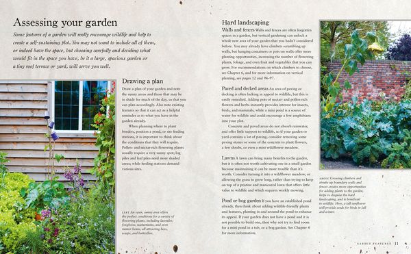 Produktbild: Urban Wildlife Gardening