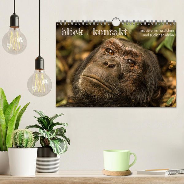 Produktbild: blick kontakt mit tieren im &ouml;stlichen und s&uuml;dlichen afrika (Wandkalender 2026 DIN A4 quer), CALVENDO Monatskalender